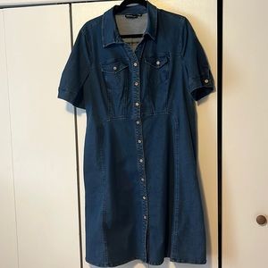 New Nina Leonard dress from HSN 1X